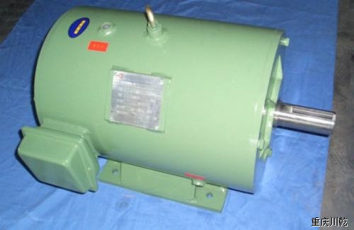 重慶伺服電機(jī)維修